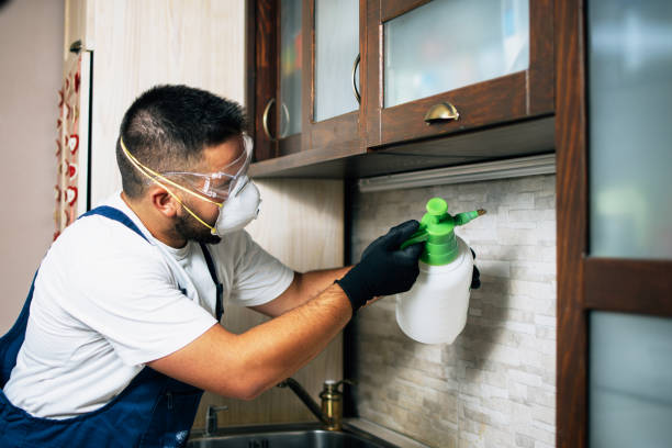 Best Pest Removal Services  in Caldwell, NJ