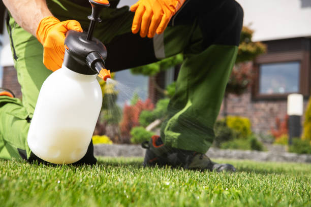 Best Bed Bug Extermination  in Caldwell, NJ