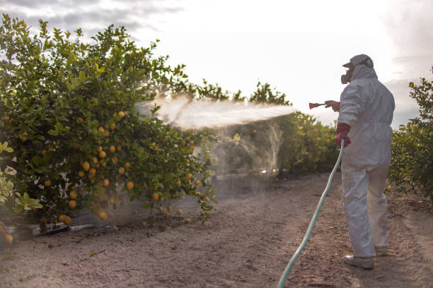 Best Insect Control  in Caldwell, NJ
