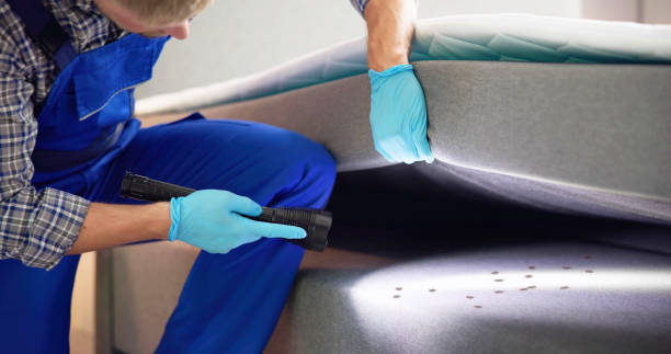 Best Mosquito Control Services  in Caldwell, NJ