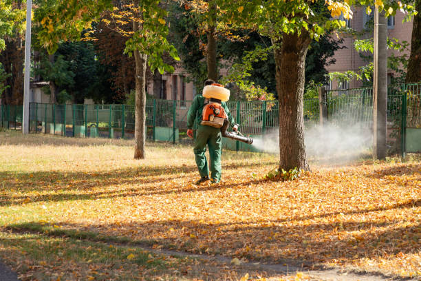 Best Best Pest Control Companies  in Caldwell, NJ
