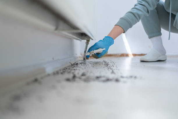 Trusted Caldwell, NJ Pest Control Experts