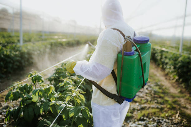 Best Affordable Pest Control Services  in Caldwell, NJ